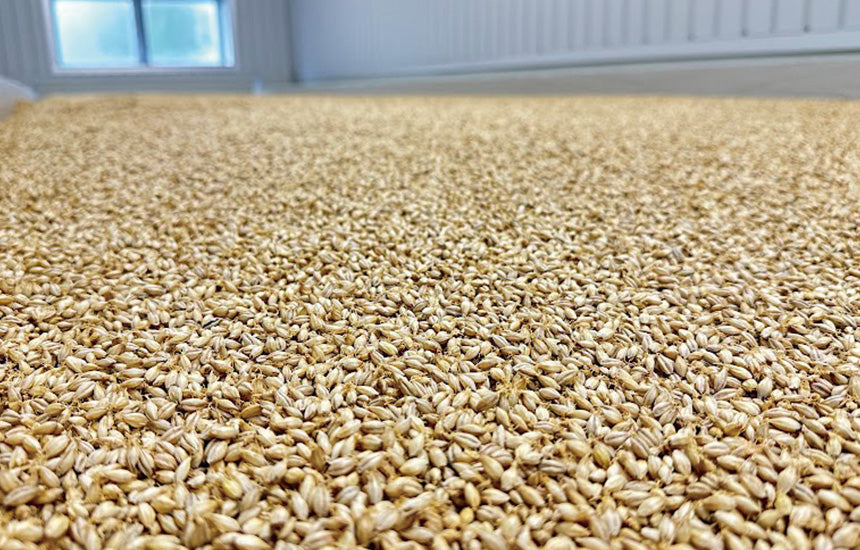 【お知らせ】国産麦芽製造を自社で　木内酒造(石岡の蔵)にて”製麦工場”を始動